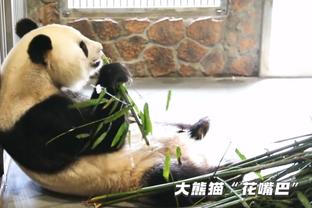 贾勒特-阿伦：我是莱夫利的超级粉丝 他今晚只是没打出最好表现